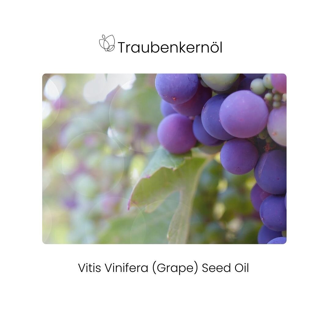 Traubenkernöl, Vitis Vinifera (Grape) Seed Oil