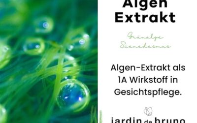 Algen-Extrakt