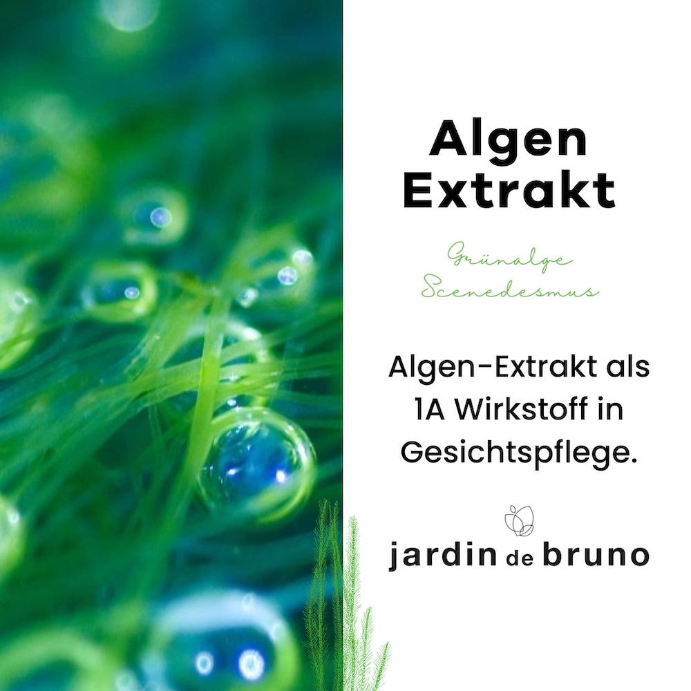 Mikro Algen Extrakt, Algenextrakt Mikroalge aus der Grünalge Scenedesmus