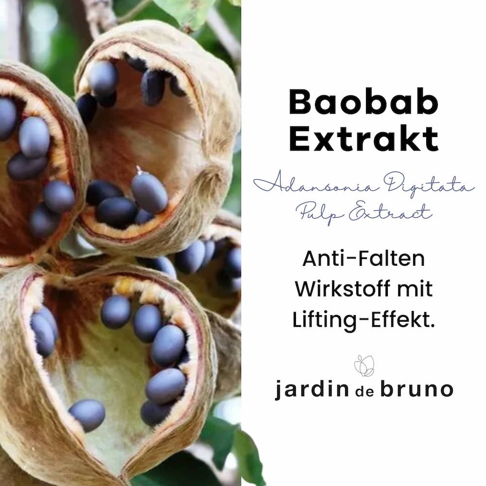 Baobab Extrakt aus der Frucht des Baobab Baumes