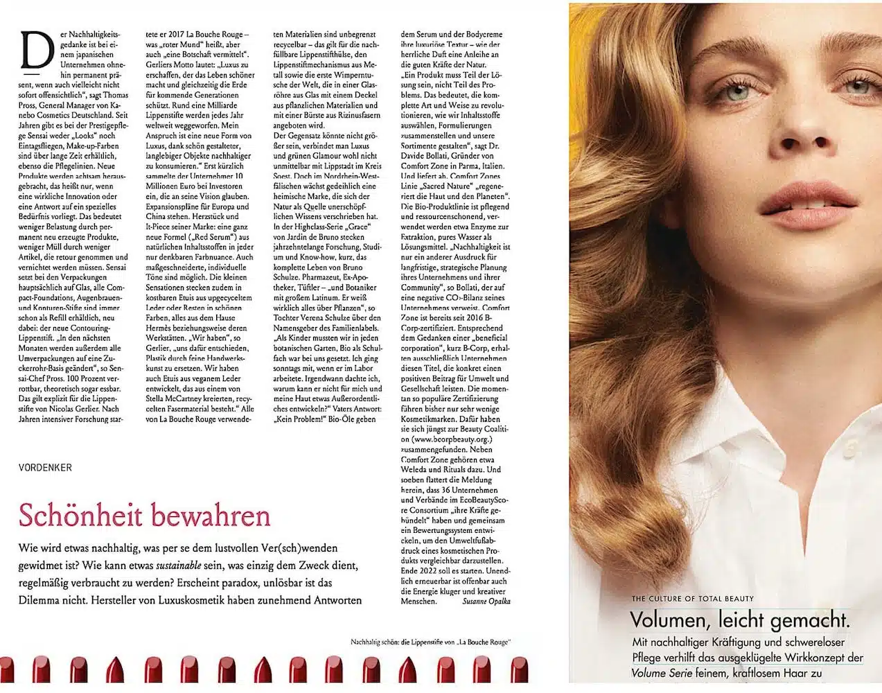 Welt am Sonntag | Icon über Jardin de Bruno
